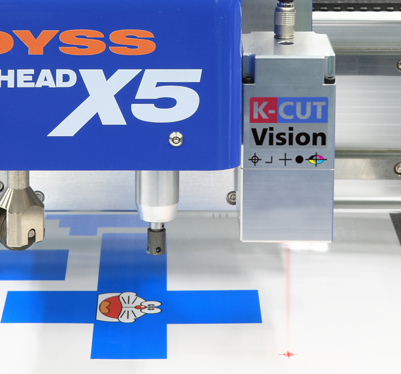 DYSS camera guided cutting